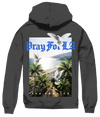 Pray For LA Doves Hoodie