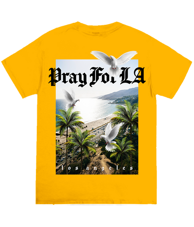 Pray for LA Doves Tee