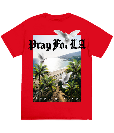 Pray for LA Doves Tee